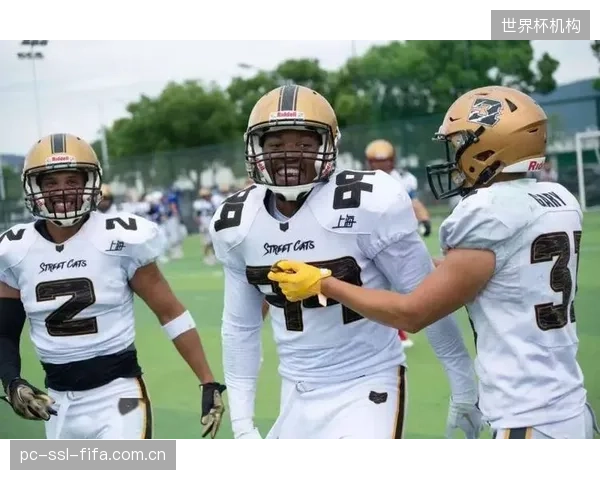 飞盘、腰旗橄榄球兴起，我们的无障碍场地标准是否还停留在田径和三大球时代？